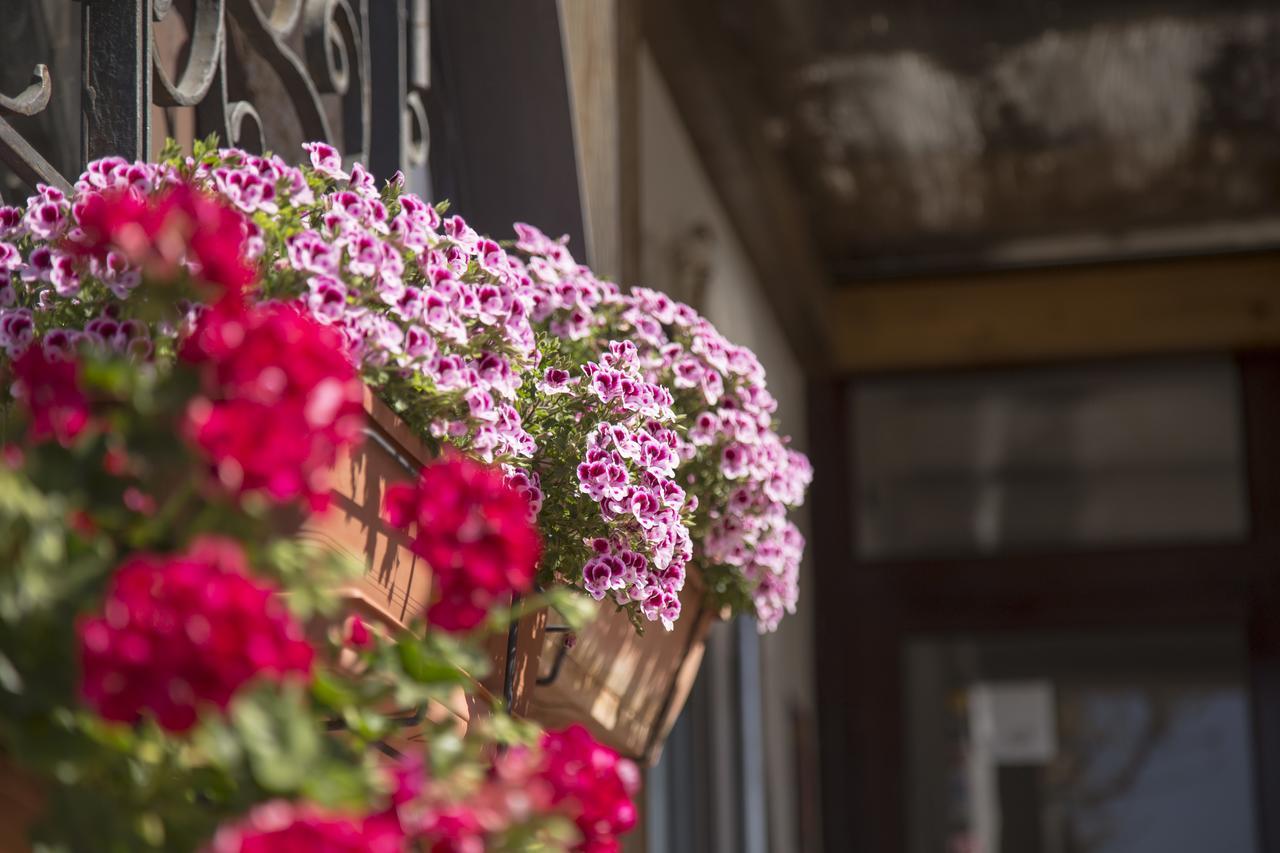 Casa Del Mar Hotel & Apartaments ロザス エクステリア 写真